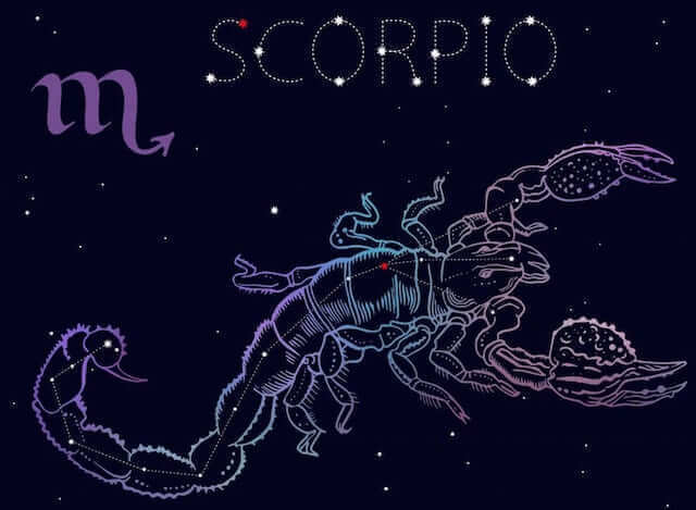 Scorpio bed compatibility