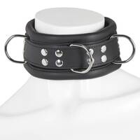 Deluxe Heavy Leather Collar Image